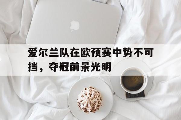 爱尔兰队在欧预赛中势不可挡，夺冠前景光明的简单介绍